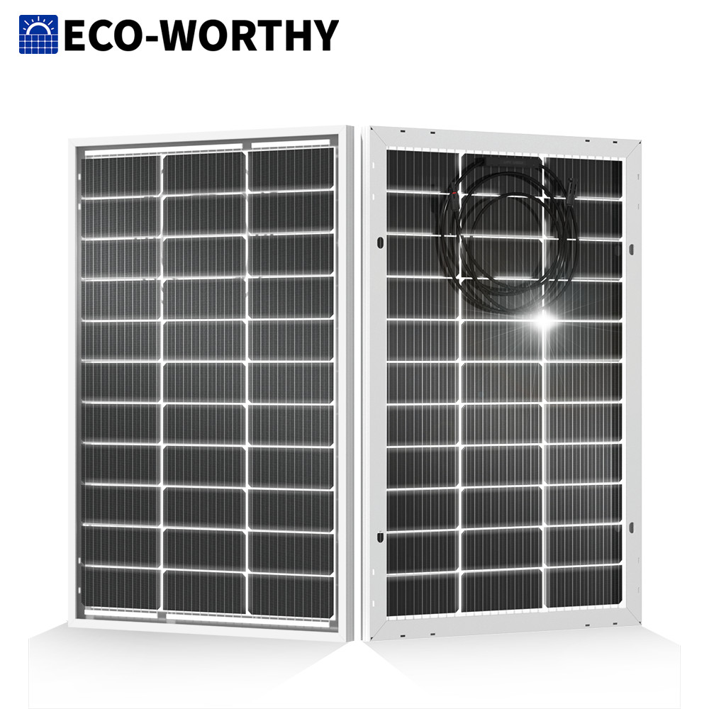 ECO-WORTHY 100W 200W 400W 600W Watt Bifacial Solar Panel Kit & Bracket Kit RV