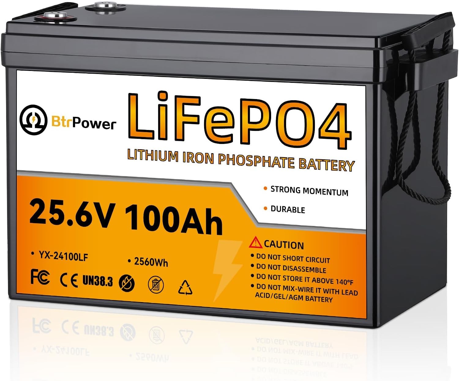 24V 100Ah LiFePO4 Lithium Battery for RV Marine Solar Panels System 100A BMS