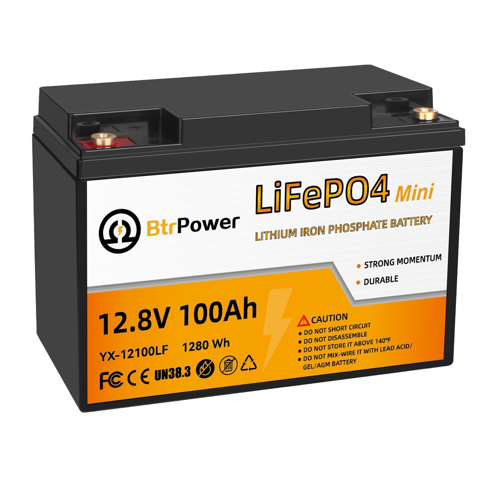 12V 100Ah Mini LiFePO4 Battery Lithium Iron Phosphate for RV Marine Solar System