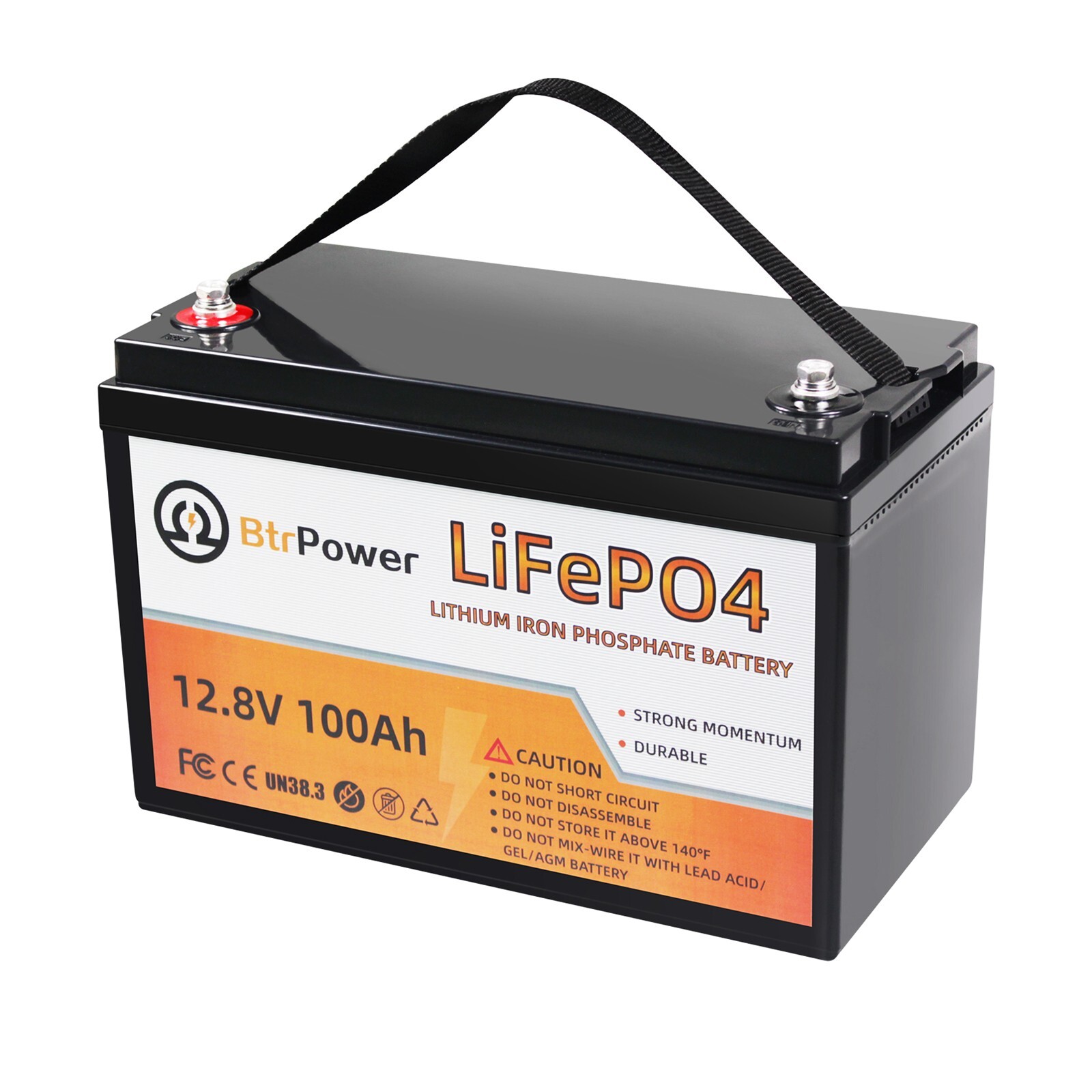 BtrPower 12V 100Ah Lithium lifepo4 Battery For RV Marine Solar System Deep Cycle